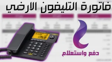دفع فاتورة التليفون الأرضي من إنستا باي وانت في بيتك .. خطوات سهلة وسريعة للاستعلام والسداد بدون عناء