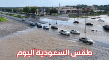 طقس الجمعة: أمطار رعدية ورياح نشطة على عدة مناطق في السعوديه 18\4