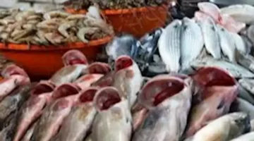 أسعار الأسماك والمأكولات البحرية اليوم في سوق العبور – دليل شامل.