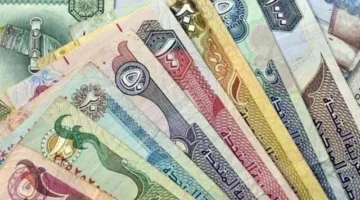 أسعار الدرهم الإماراتي اليوم مقابل العملات العربية والعالمية – تحديث الثلاثاء