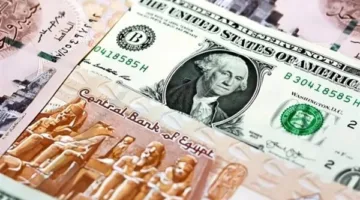 سعر الدولار اليوم أمام الجنيه في البنوك المصرية الثلاثاء 8 أبريل 2025