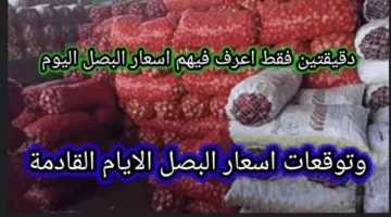 الكيلو وصل كام؟ ارتفاع سعر البصل اليوم الأربعاء 30 ابريل 2025 في سوق العبور للجملة