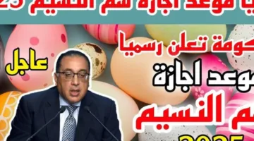 شم النسيم قرب يا جماعة.. اعرف إجازة 2025 هتكون إمتى بالضبط وخطط من دلوقتي!