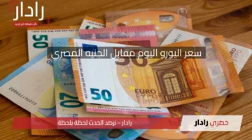 انخفاض سعر اليورو اليوم مقابل الجنيه المصري 16 أبريل 2025 في البنوك المصرية وفقًا لأخر تحديث