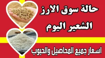 رفيع وعريض الحبة.. سعر طن الأرز الشعير اليوم الأحد 27 أبريل 2025 في السوق المصري
