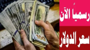 رسميا الآن.. كم سعر 100 دولار في مصر اليوم الإثنين 28 أبريل 2025