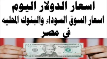 الأخضر بكام.. كم سعر 100 دولار اليوم في السوق السوداء والبنوك المصرية