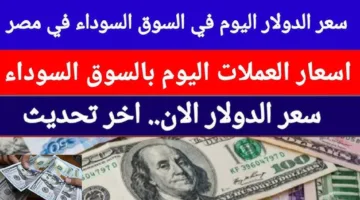 “انهيار الأخضر” سعر الدولار اليوم مقابل الجنيه المصري الثلاثاء 29 أبريل 2025