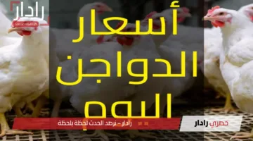 الكوكو بكام؟ أسعار الدواجن اليوم الإثنين 14 أبريل 2025