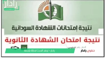 “فور ما تظهر”.. رابط استخراج نتيجة امتحان الشهادة السودانية بكل الولايات بالاسم ورقم الجلوس عبر mohe.gov.sd