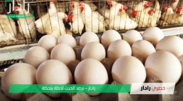 بكام البيض اليوم .. سعر كرتونة البيض الأحد 27 إبريل 2025  في الأسواق