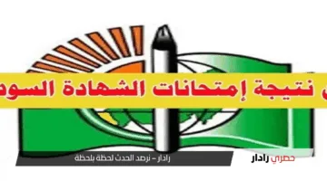 أخيراً اللحظة جات!.. نتيجة الشهادة السودانية 2025 حتلقاها على موقع www.mohe.gov.sd مبروك ليكم مقدماً يا أوائل