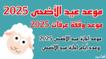 متي موعد عيد الأضحى 2025؟.. المتوقع انها إجازة طويلة وفرصة للاستجمام مع الأهل والأصدقاء