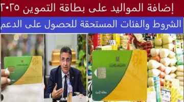 متى يتم فتح إضافة المواليد على بطاقة التموين 2025؟ وزارة التموين تُجيب وتحدد الفئات المستحقة