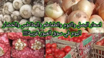 “اشتري وخزني” سعر البصل اليوم الاثنين 28 ابريل 2025 في سوق العبور للجملة