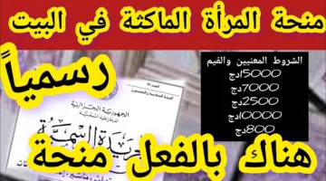 “مُتاح الآن” التسجيل في منحة المرأة الماكثة بالبيت 2025 عبر الوكالة الوطنية للتشغيل anem.dz الكترونيًا