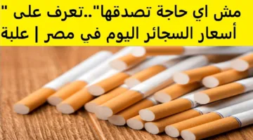 “المستوردة والمحلية” اسعار السجائر اليوم الاثنين 28 ابريل 2025 للمستهلكين في مصر