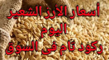 الطن وصل كام؟ سعر الأرز الشعير والأبيض اليوم الاثنين 28 ابريل 2025 للمستهلكين والتجار