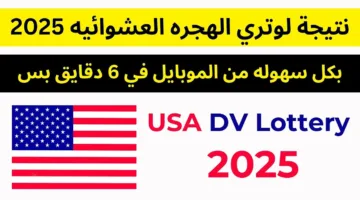 رسميًا وزارة الخارجية تُعلن موعد نتيجة اللوتري الأمريكي 2025 وإجراءات ما بعد القبول