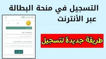 التسجيل في منحة البطالة 2025 عبر الوكالة الوطنية للتشغيل anem.dz الكترونيًا