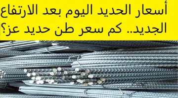 ارتفاع سعر طن الحديد اليوم.. حديد عز يصل لأعلي مستوى للمستهلكين والتجار والموزعين