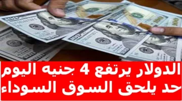 “اشتعال الدولار” أعلى سعر للدولار اليوم في السوق السوداء مقابل الجنيه المصري للبيع والشراء