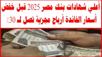 “استثمر صح” شهادات بنك مصر 2025 الجديدة بعوائد تصل إلى 30%.. أفضل اختيار للادخار