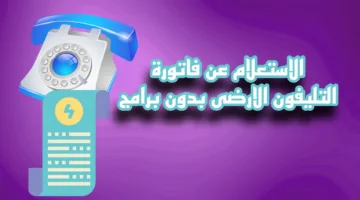 الاستعلام فاتورة التليفون الأرضي 2025 عبر موقع الشركة المصرية للاتصالات te.eg الكترونيًا