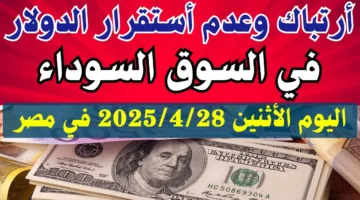 “اشتعال الأخضر” سعر الدولار اليوم مقابل الجنيه المصري في البنوك والسوق السوداء