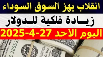 كم سعر 100 دولار اليوم في السوق السوداء؟ ارتفاع جنوني لسعر الدولار اليوم الاحد 27/4/2025 مقابل الجنيه