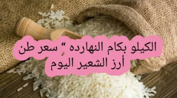 الرفيع بـ 16 الف.. سعر الأرز الشعير اليوم الأربعاء 30 ابريل 2025 للمستهلكين والتجار في مصر