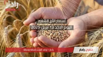 خزني قبل ما يغلى.. أسعار الأرز الشعير اليوم الأحد 13 أبريل 2025