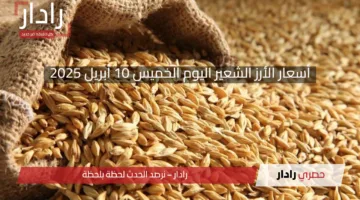 أسعار الأرز الشعير اليوم الخميس 10 أبريل 2025 في مصر
