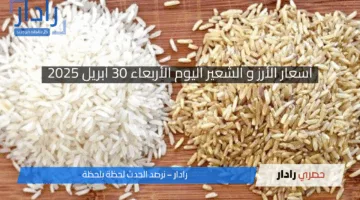 “أسعار الأرز تواصل هدوءها في الأسواق المصرية اليوم الأربعاء 30 أبريل 2025”.. وفرة المعروض تحافظ على الاستقرار!!