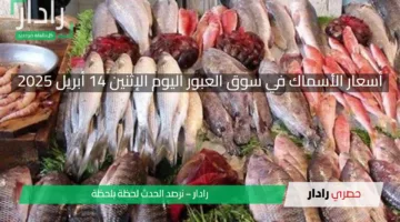 أسعار الأسماك في سوق العبور اليوم الإثنين 14 أبريل 2025