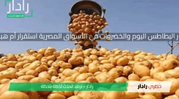 اسعار البطاطس اليوم والخضروات في الأسواق المصرية استقرار أم هبوط؟ اعرف التفاصيل