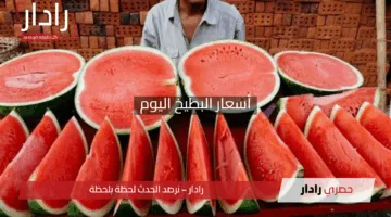 صدمة أسعار البطيخ اليوم! تعرف على أحدث أسعار الخضروات والفواكه في سوق العبور