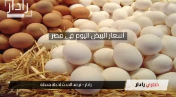 أسعار البيض اليوم في مصر والسلع الاساسية الإثنين 14 أبريل 2025