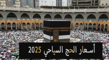 بشرة خير للحجاج.. أسعار الحج السياحي 2025 في مصر للبرامج الاقتصادية والخمس نجوم