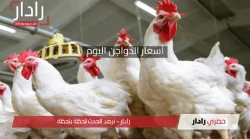 ألحق خزن بانيه ودبابيس السعر في النازل .. أسعار الدواجن في بورصة الدواجن اليوم 2025