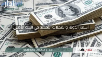 “بمفاجآت غير متوقعة”.. أسعار الدولار والعملات الأجنبية في البنك الأهلي الإثنين 28 أبريل 2025