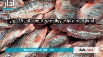 «قفزة في الإقبال على المأكولات البحرية».. تعرف على أسعار البلطي والمرجان والجمبري اليوم الاثنين 28 أبريل 2025!!