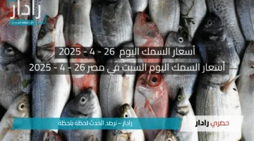 “قفزة مفاجئة في أسعار السمك اليوم السبت 26 أبريل 2025!”.. تعرف على الأسباب والتفاصيل الكاملة!!