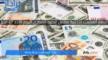 «قفزات واستقرار».. أسعار العملات الأجنبية مقابل الجنيه المصري اليوم الأحد 27 أبريل 2025