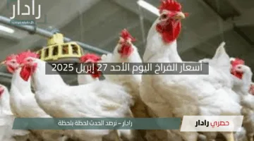 “بعد القفزة الجديدة”.. أسعار الفراخ اليوم الأحد 27 إبريل 2025 وبورصة الدواجن الآن