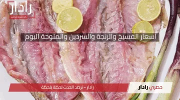 أسعار الفسيخ والرنجة والسردين والملوحة اليوم مع احتفالات شم النسيم في الأسواق