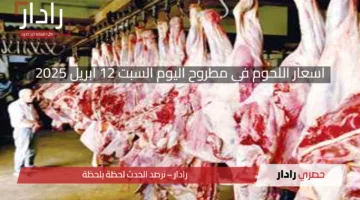 أسعار اللحوم في مطروح اليوم السبت 12 فبراير 2025 في الأسواق والمنافذ الحكومية