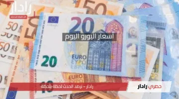 أسعار اليورو اليوم في البنوك المصرية.. تحديثات دقيقة وتفاصيل هامة للمستثمرين والمسافرين