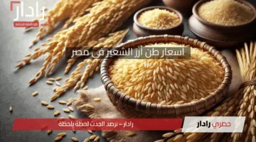 هبوط جديد في سعر اليوم.. اعرف أسعار طن أرز الشعير في مصر بأنواع الحبوب العريض والرفيع 19 إبريل 2025
