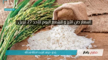 «قفزة مفاجئة في أسعار الأرز اليوم الأحد 27 أبريل 2025».. إليك اخر تطورات السوق المصري بالتفصيل